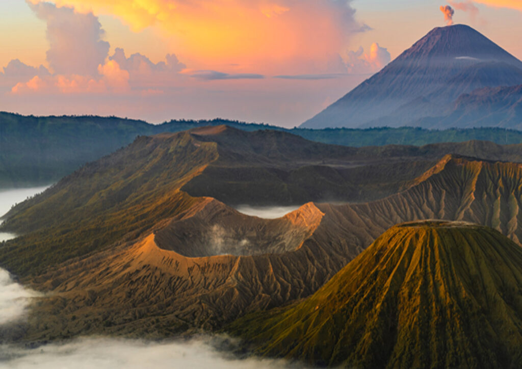 indonesian coffee beans