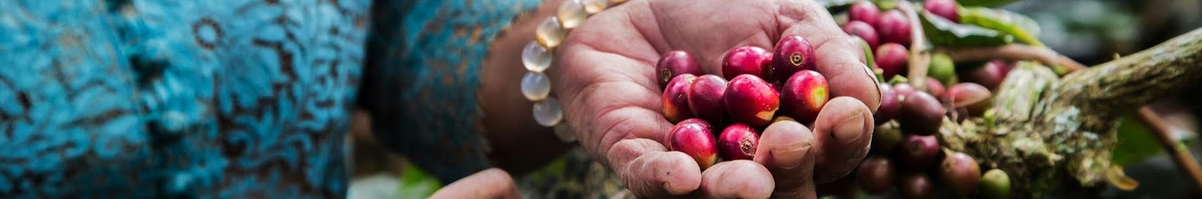 Balli Beans